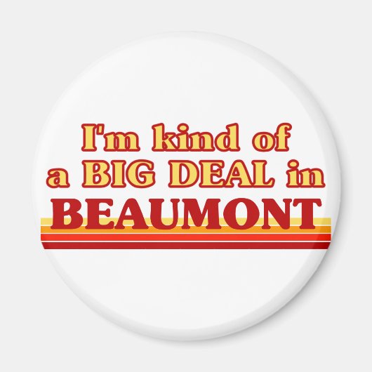 私はボーモントで大きな問題を抱えている マグネット (正面)