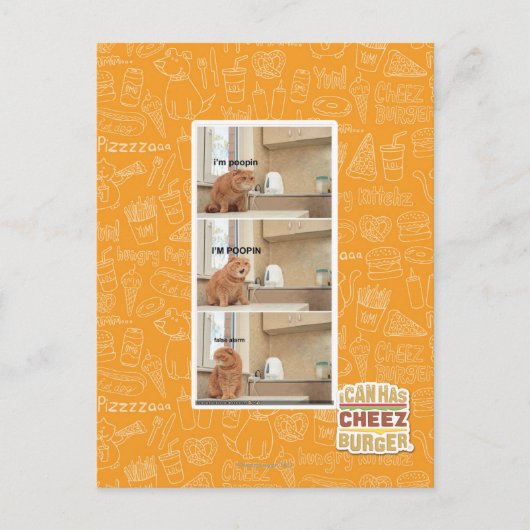 私はポピンよ！ ポストカード (正面)