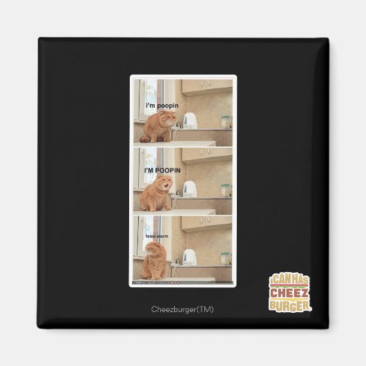 私はポピンよ！ マグネット (正面)