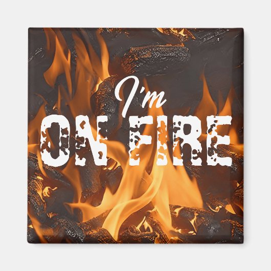 私はマグネットに火をつけている マグネット (正面)