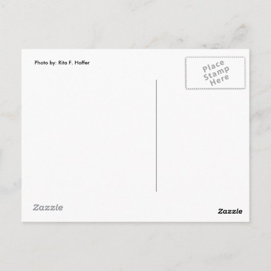 「私はママみたいになりたい」はがき ポストカード (裏面)