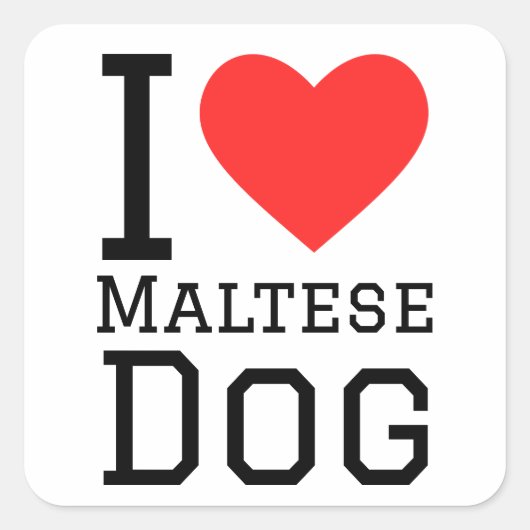私はマルチーズ犬が大好き スクエアシール (正面)