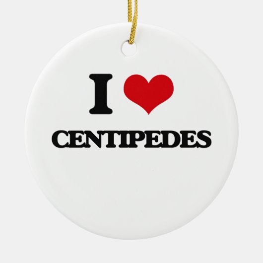 私はムカデを愛します セラミックオーナメント (正面)