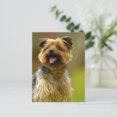 私はヨークシャーテリア大好き!ポストカード ポストカード (スタンド正面)
