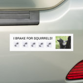 私はリス、バンパーステッカーのためにブレーキがかかります バンパーステッカー (車上)