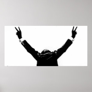 私はリチャード・M・ニクソンの悪党ではない ポスター