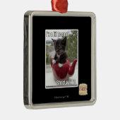 私はリルティーポットです メタルオーナメント (右)