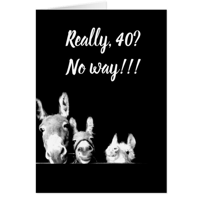 **私はロバの叔父になる** *40* (正面)