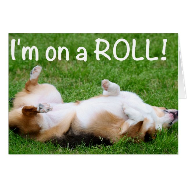 私はロールにあります! (正面横)