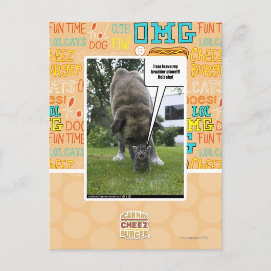 私は一人離れで自分の傷を探る ポストカード (正面)