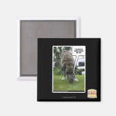 私は一人離れで自分の傷を探る マグネット (正面/裏面)