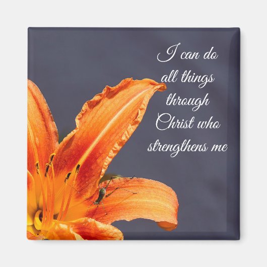 私は一日のリリー磁石をオフセットすることすべてを行うことができる マグネット (正面)