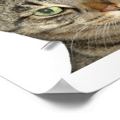 私は不屈の問題を抱えている！かわいいカスタム ポスター (角)