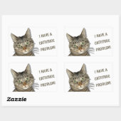 私は不屈の問題を抱えている！かわいいカスタム 長方形シール (シート)