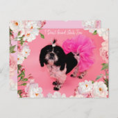 私は与えシーズー(犬)Tzu ポストカード (正面/裏面)