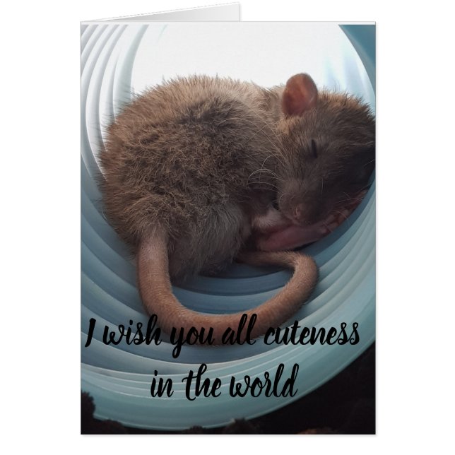 私は世界のすべてのcutenessを望みます (正面)