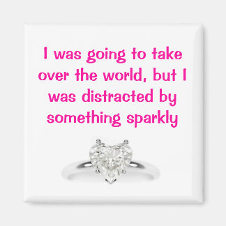 私は世界を引き継ぐつもりだったb... マグネット