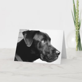 私は人を恋しく思います! カード