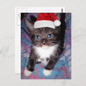 私は今年は元気だった ポストカード (正面/裏面)