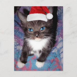 私は今年は元気だった ポストカード