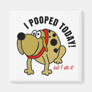 私は今日は歩いた マグネット