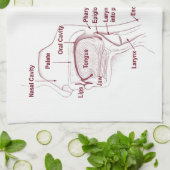 私は他の人々の口(解剖学)に入れました単語を キッチンタオル (折り畳み)