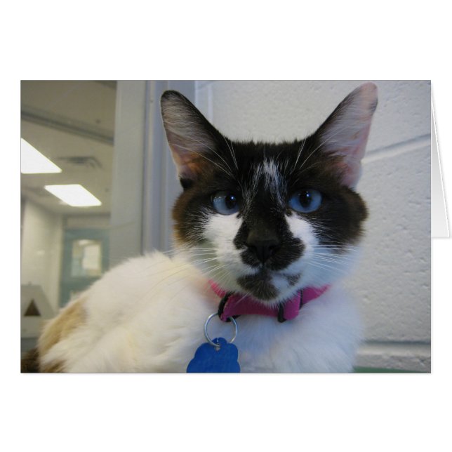 私は会いますも (正面横)