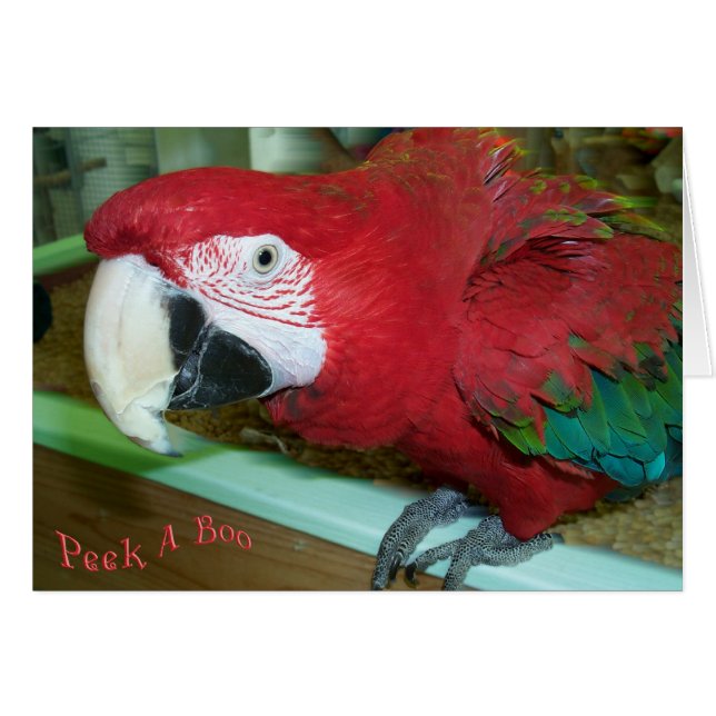 私は会います (正面横)