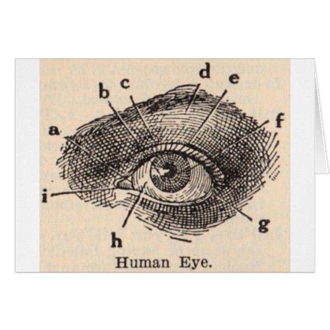 私は会います (正面横)