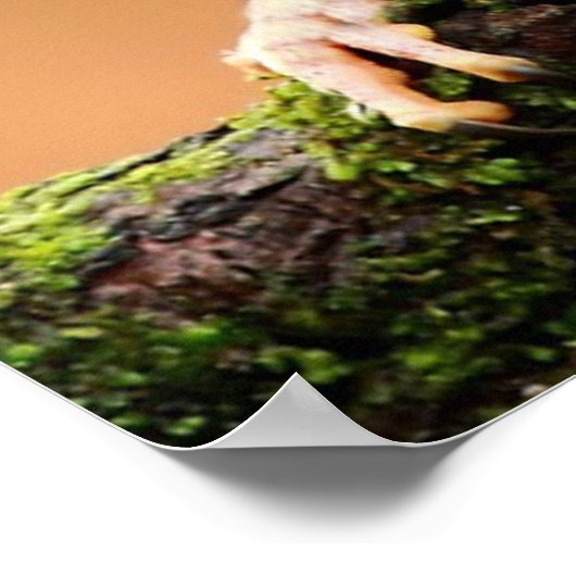 私は何だったの？ ポスター (角)