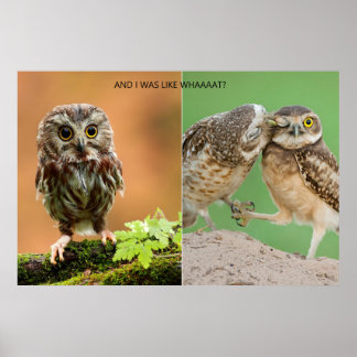 私は何だったの？ ポスター