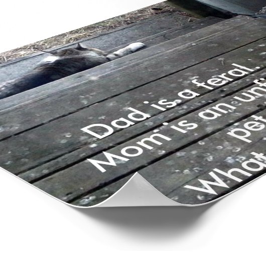 「私は何になるの?」ファラル・キッテンのポスター ポスター (角)