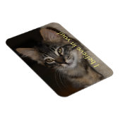 私は信じお前の猫の磁石 マグネット (右側)