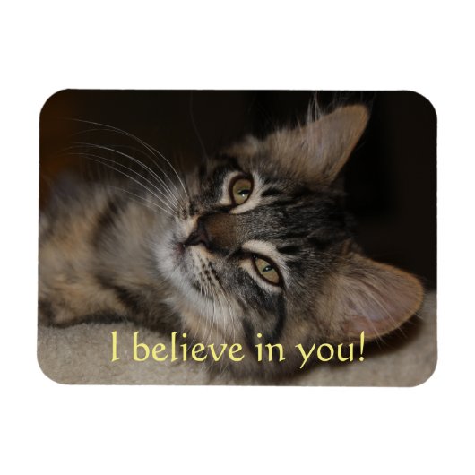 私は信じお前の猫の磁石 マグネット (横)