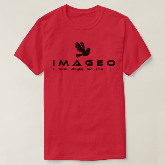 私は全能の神を引いた0に等しい Tシャツ (デザイン正面)