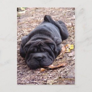 私は全遊体！ ポストカード