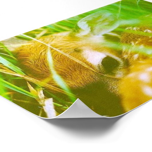 私は内気だ ポスター (角)