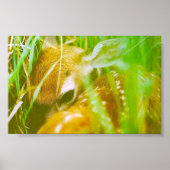 私は内気だ ポスター (正面)