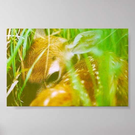 私は内気だ ポスター (正面)