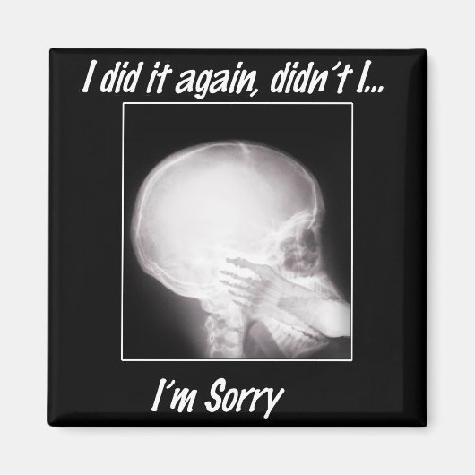 私は再びやったよね?本当に残念だ マグネット (正面)