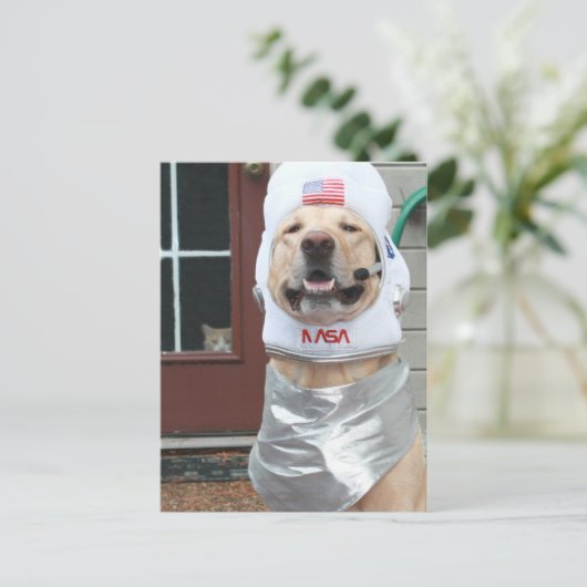 私は写真 ポストカード (スタンド正面)