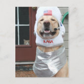 私は写真 ポストカード (正面)