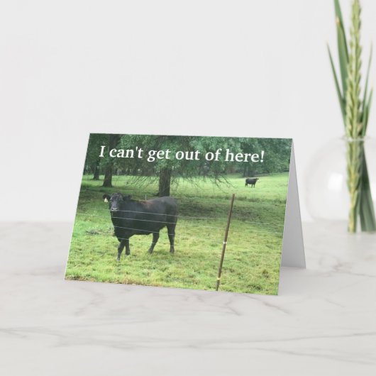 私は出て行けないので、本人で「ハッピーバースデー」とは言えません。 シーズンカード (正面)