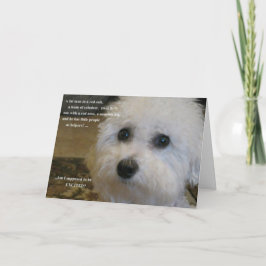 私は刺激されて想定されていますか。 シーズンカード