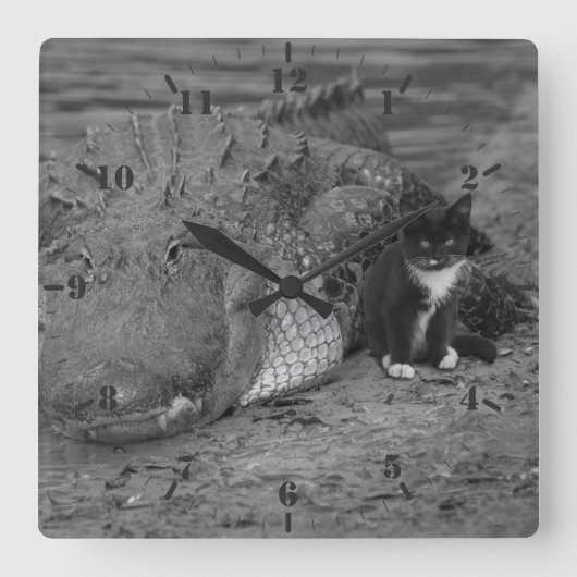 私は勇気がある君はどうだ？子猫とワニ スクエア壁時計 (正面)