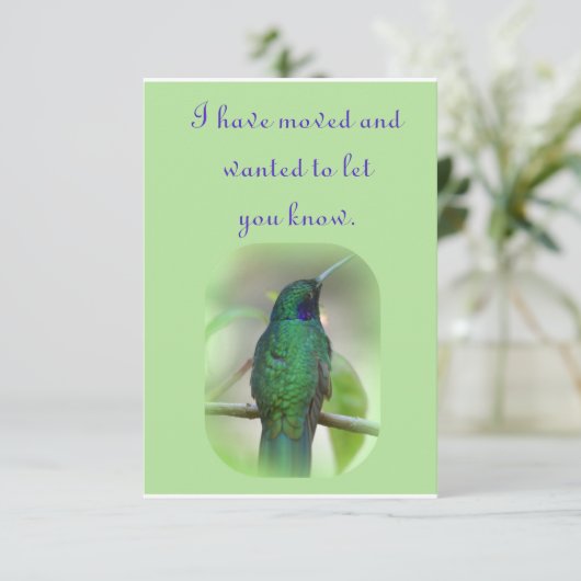 私は動きました 案内状 (スタンド正面)