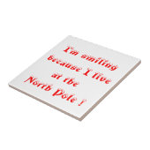 私は北極に住んでいるので微笑んでいる！タイル タイル (側面)