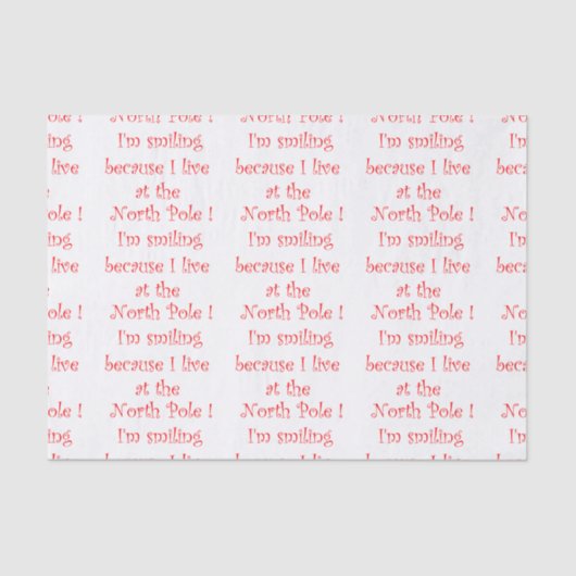 私は北極に住んでいるので笑っている 薄葉紙 (正面)