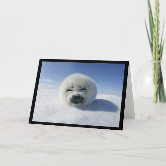 私は協力させます(愛/バレンタインデーカード) シーズンカード (正面)