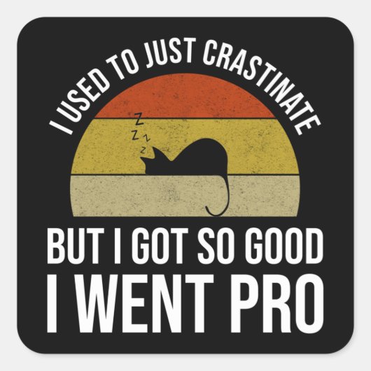 私は単に詰め込むだけだった スクエアシール (正面)